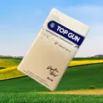 top gun cigarettes made in which country Buy Top Gun Blue Cigarettes