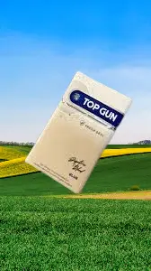 Top Gun Blue Cigarettes